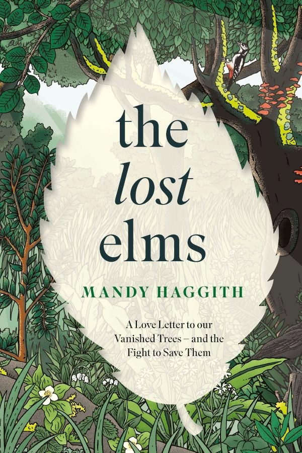 The Lost Elms by Mandy Haggith